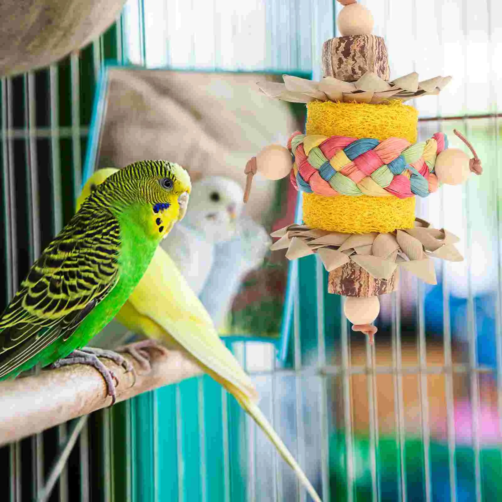 

Parrot Chewing Toy Bird Grinding Loofah Toy Birds Biting Toy Bird Molar Toy Birdcage Accessory
