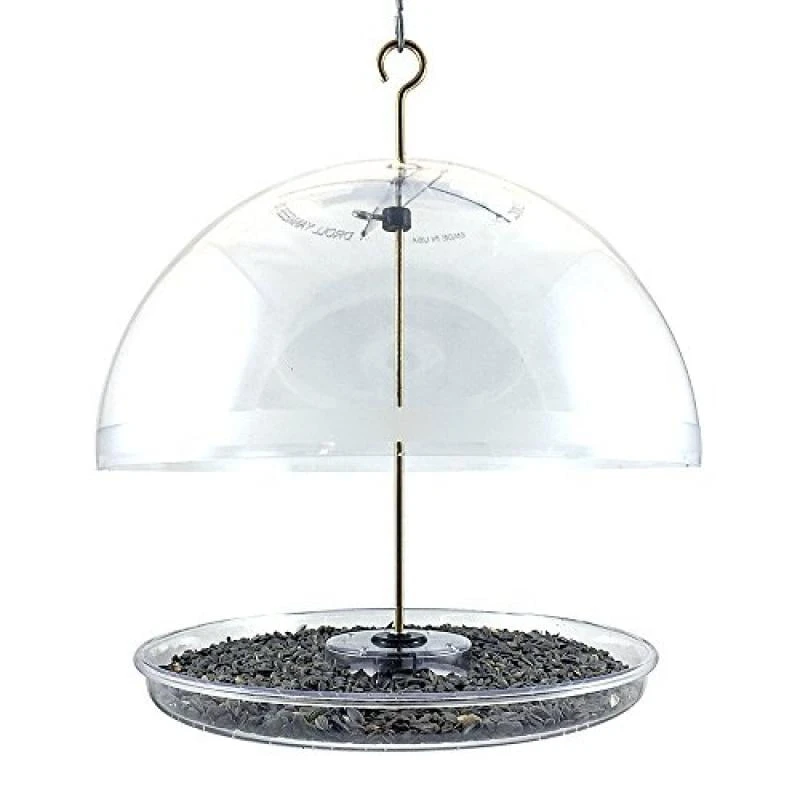 

Dome Feeder, Cardinal Feeder, 1 lb Capacity, Clear