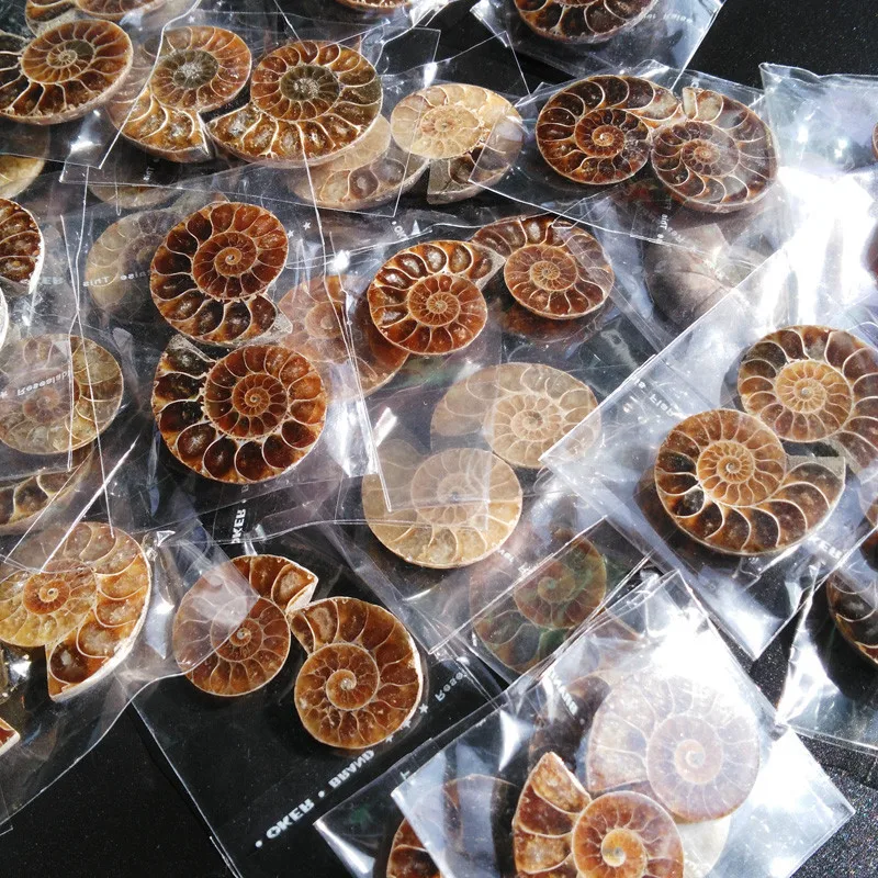 

100-126g Split Iridescent Ammonite Fossil Madagascar Stone Collectibles Decoration Crafts