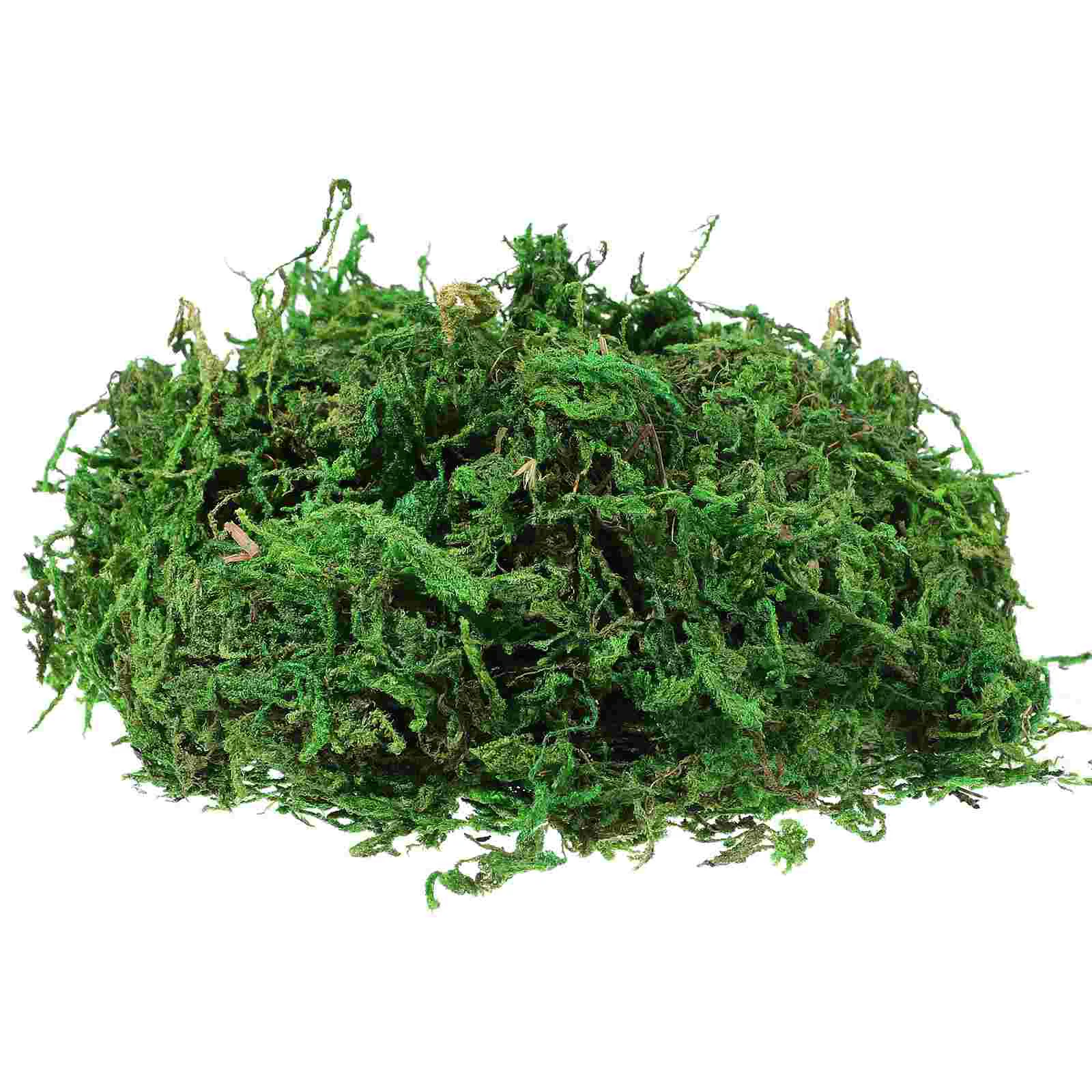 

3 Pack Dried Preserved Naturally Exquisite Anti-fade Dried Moss Garden Decorative Moss Natural Moss