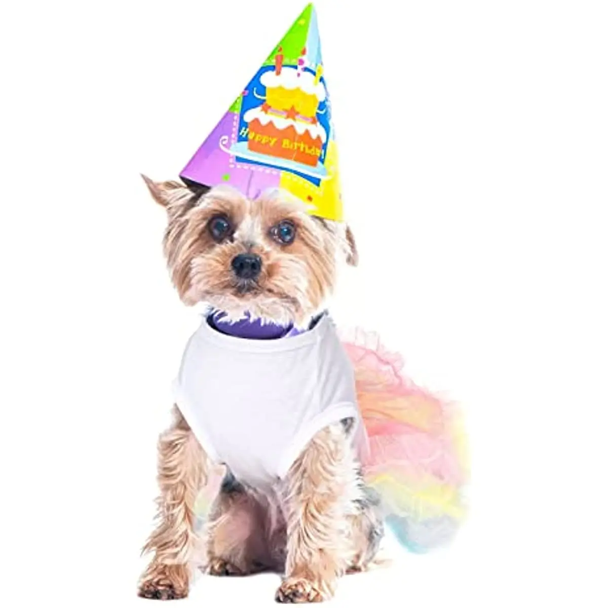 

Dog Birthday Dress Girl Puppy Dresses, Dresses Female,Dogs Princess Clothes,Chihuahua Dresses-Teacup Yorkie Clothes, Doggie