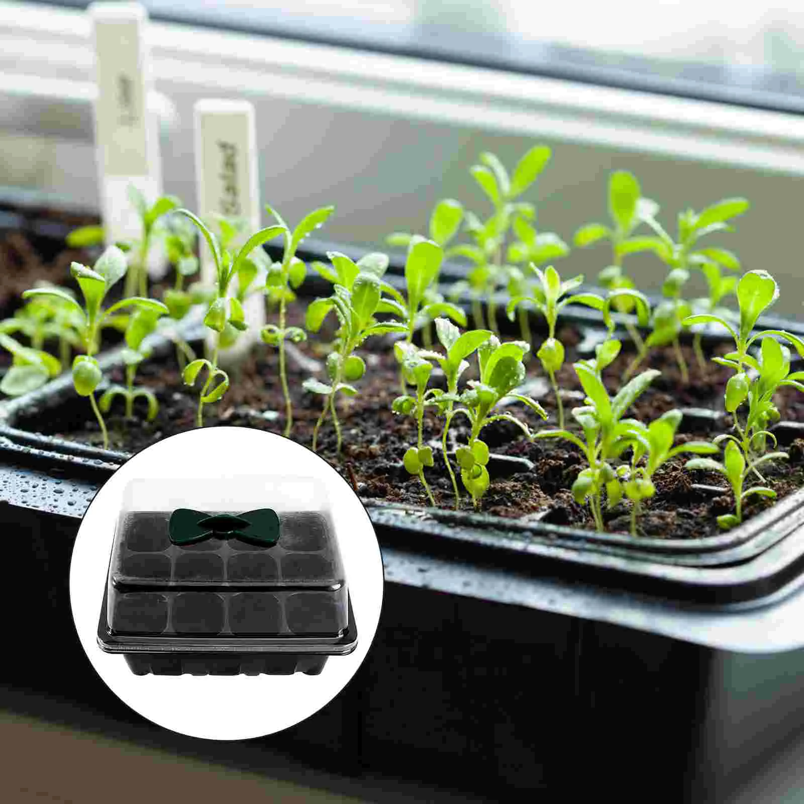 

2 Pcs Starter Trays Pot Tray Garden Growing Tray Vegetable Trays Vegetable Plants