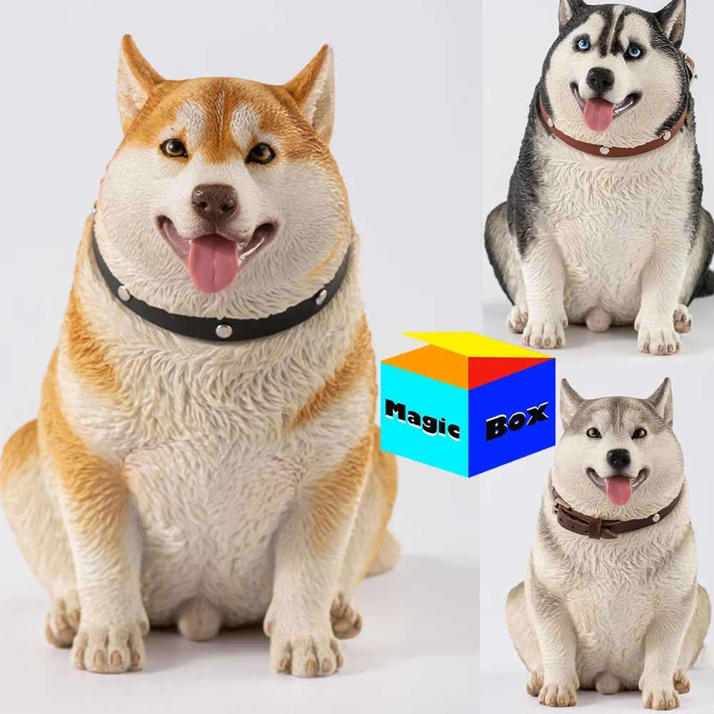 

JXK092 1/6 симпатичная собака Толстая фигурка Хаски модель полимерный питомец с ожерельем статуя животного солдатика реквизит сцена аксессуары коллекция игрушек