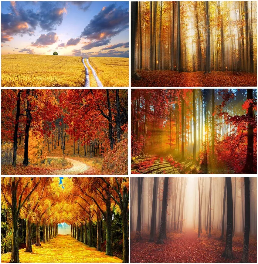 

Autumn Photographic Backdrops Fallen Leaves Forest Fall Forest Sunshine Portrait Backgrounds Studio Decoration Banner Photocall