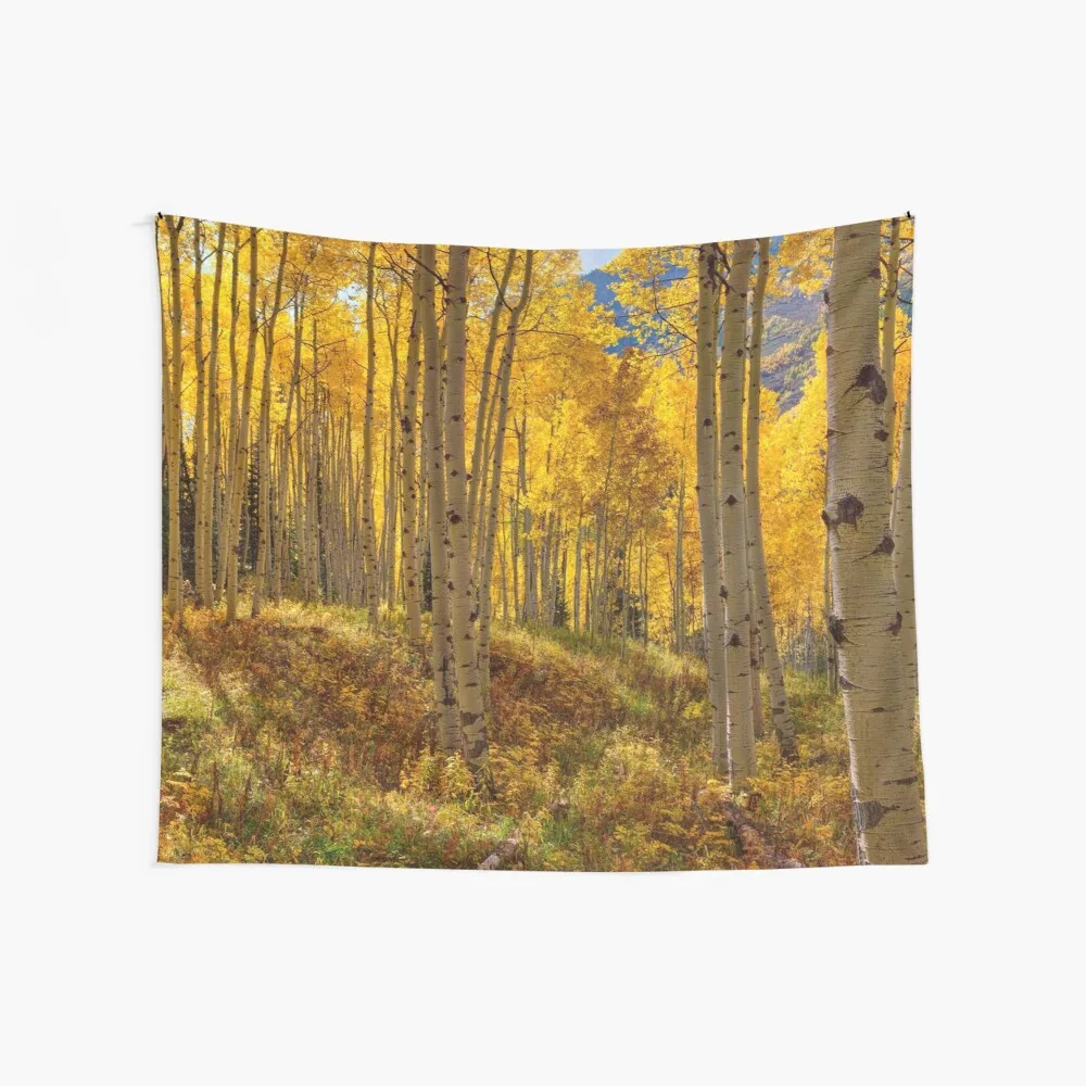 

Autumn Aspen Forest Aspen Colorado Panorama Anime Plaid Things To The Room Custom Landscape Tapestries
