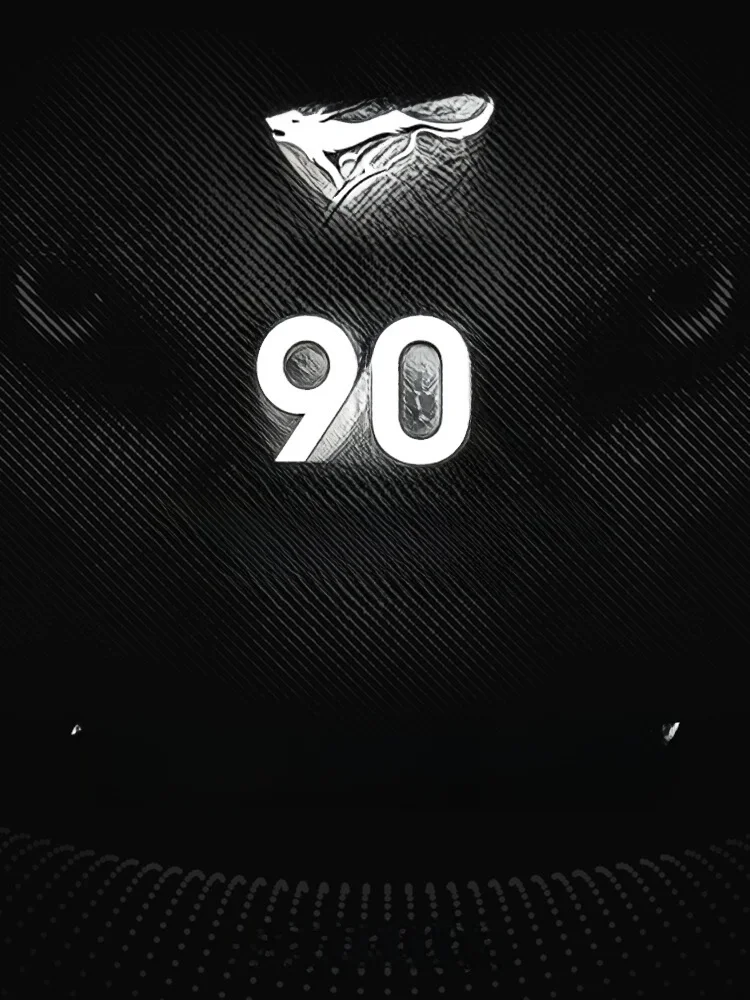 Septwolves Shoes Мужская обувь модная увеличивающая рост туфли для досок новинка зимы 2024