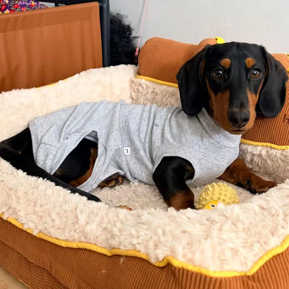 Фото Одежда для собак пород Wiener Dog: Весенне-летняя пижама из 100% хлопка на 4 лапах для миниатюрных такс, послеоперационный костюм для такс. №2