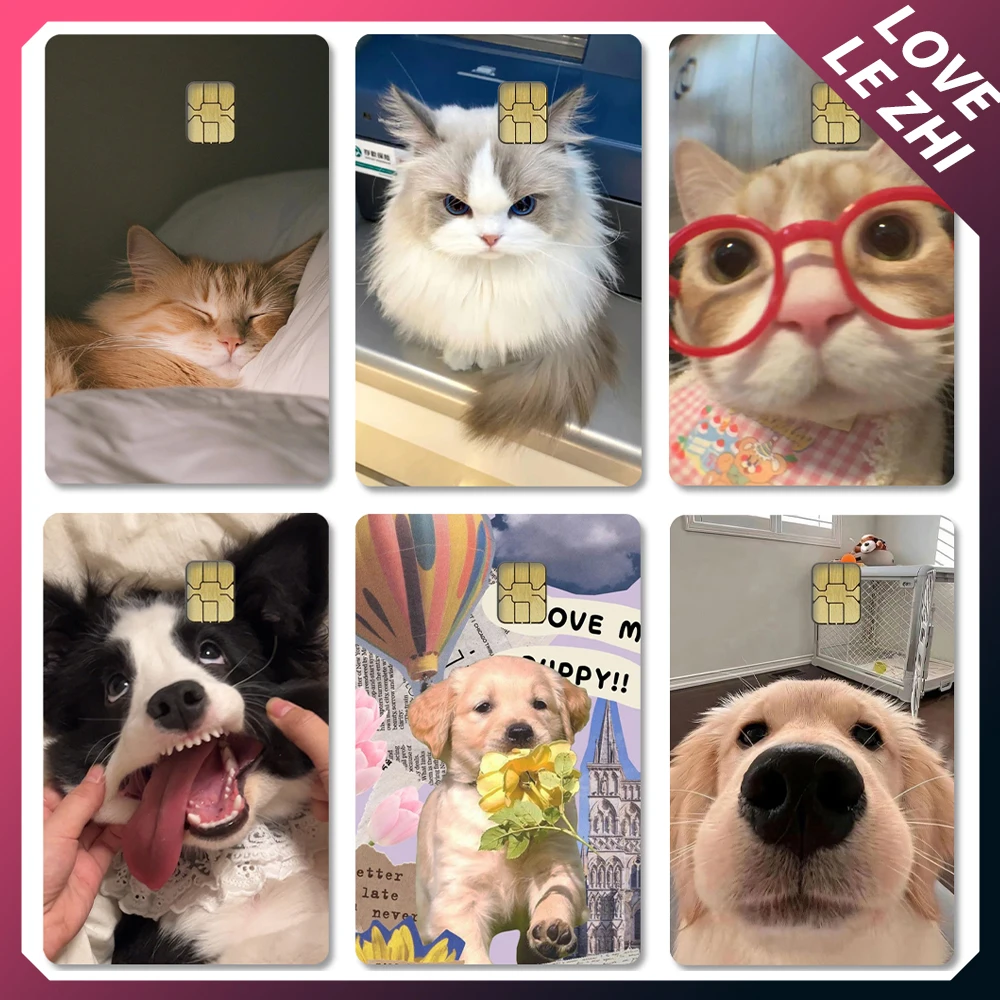 Фото Kawaii милый кот животное любовь ПВХ наклейка пленка кожа крышка для кредитной карты дебет банковская карта спереди Diy водонепроницаемая наклейка подарок на вечеринку №1