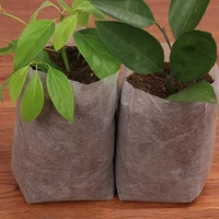 compact pot growing bag easy to use rectangle degradable nursery bag nursery bag gardening bag 100pcs