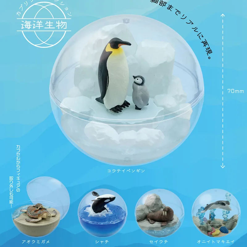 

Original QUALIA Gashapon Capsule Toy Kawaii Walrus Killer Whales Life In The Sea Sphere Penguins Model Gachapon Figure