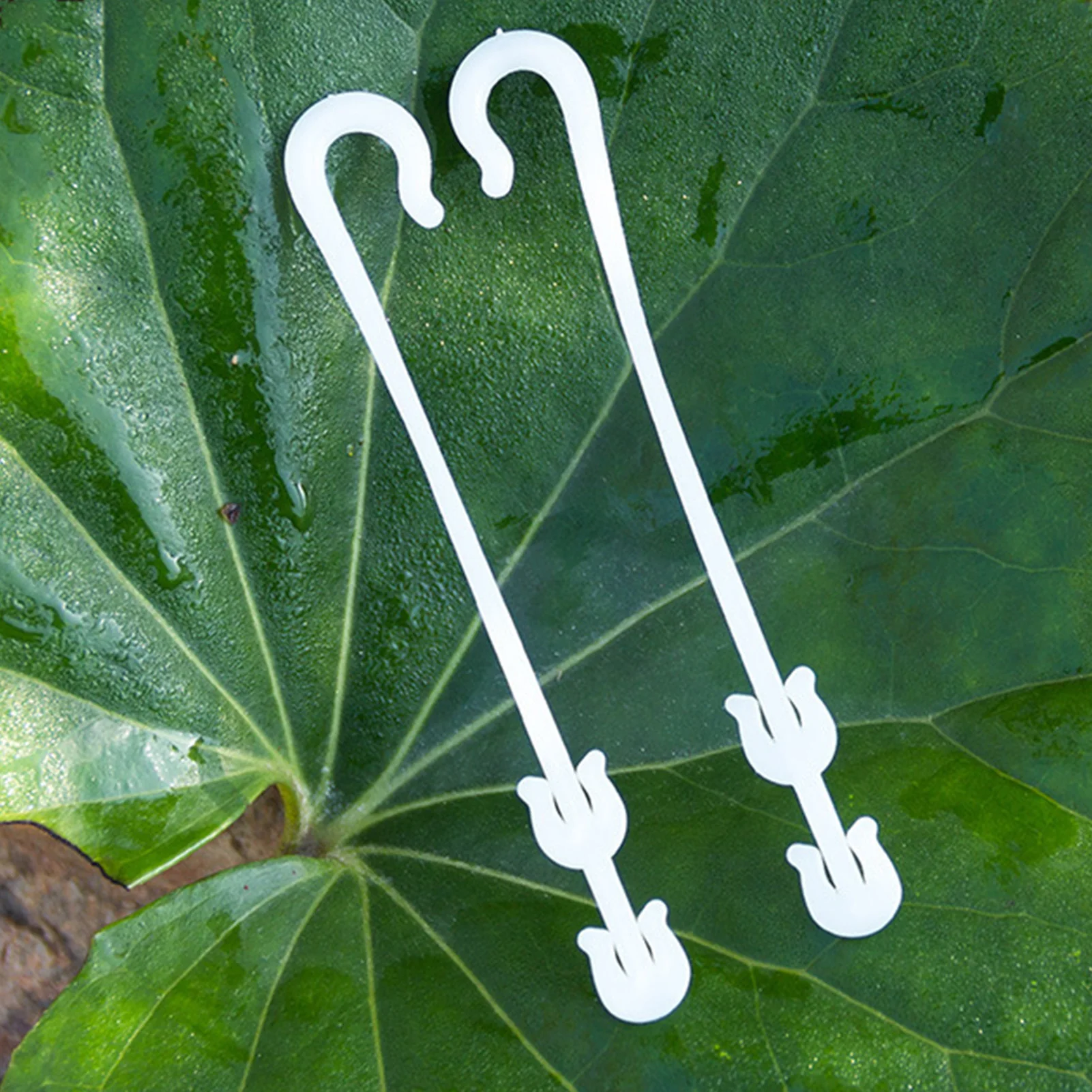 

100 шт. J-образный крючок для фруктов, вишни, томатов, ушной крючок для сада, овощей, растений, винограда, аксессуары для поддержки, зажимы для решетки, фиксированная Пряжка, крючок