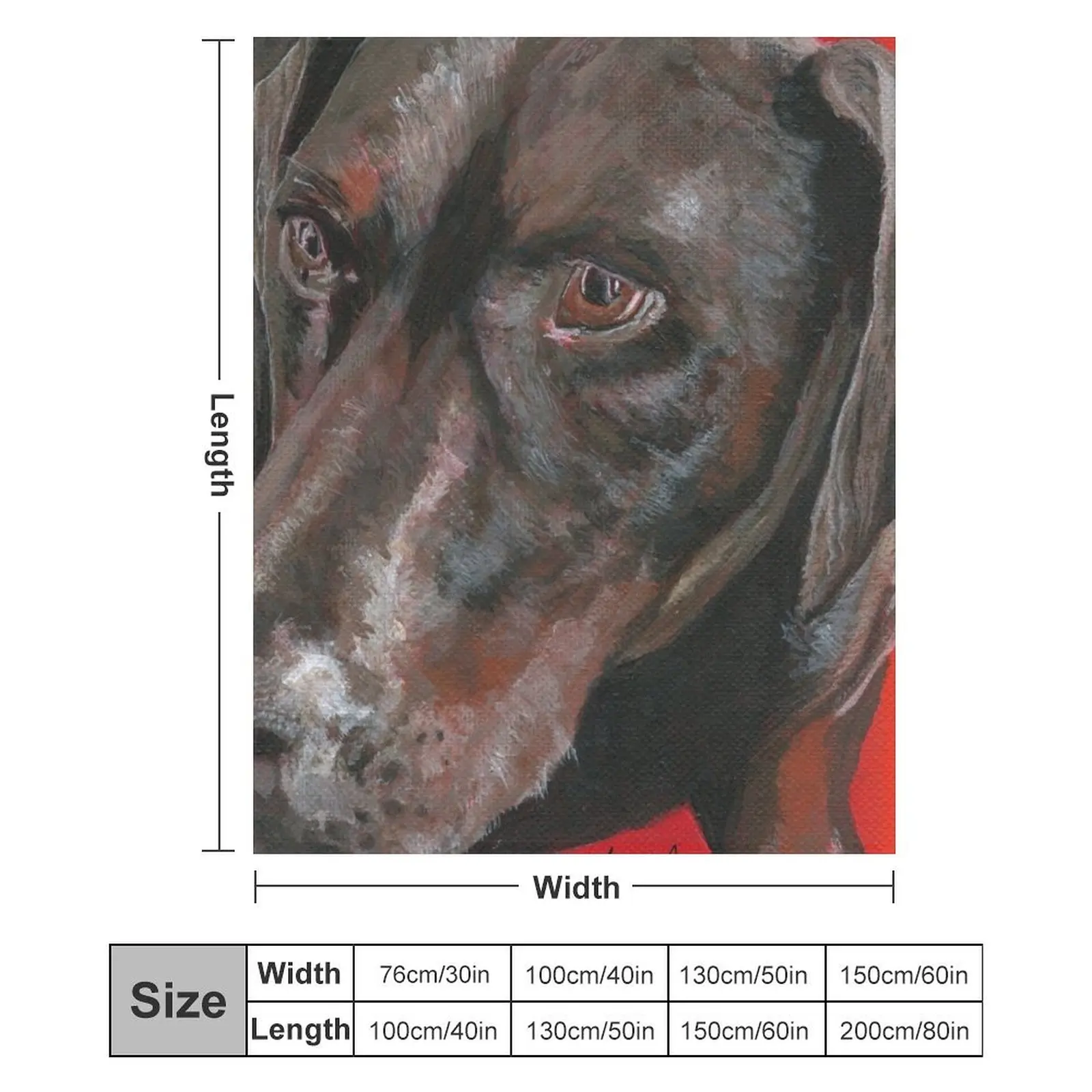 Одеяло Scout роскошные дизайнерские забавные подарочные одеяла