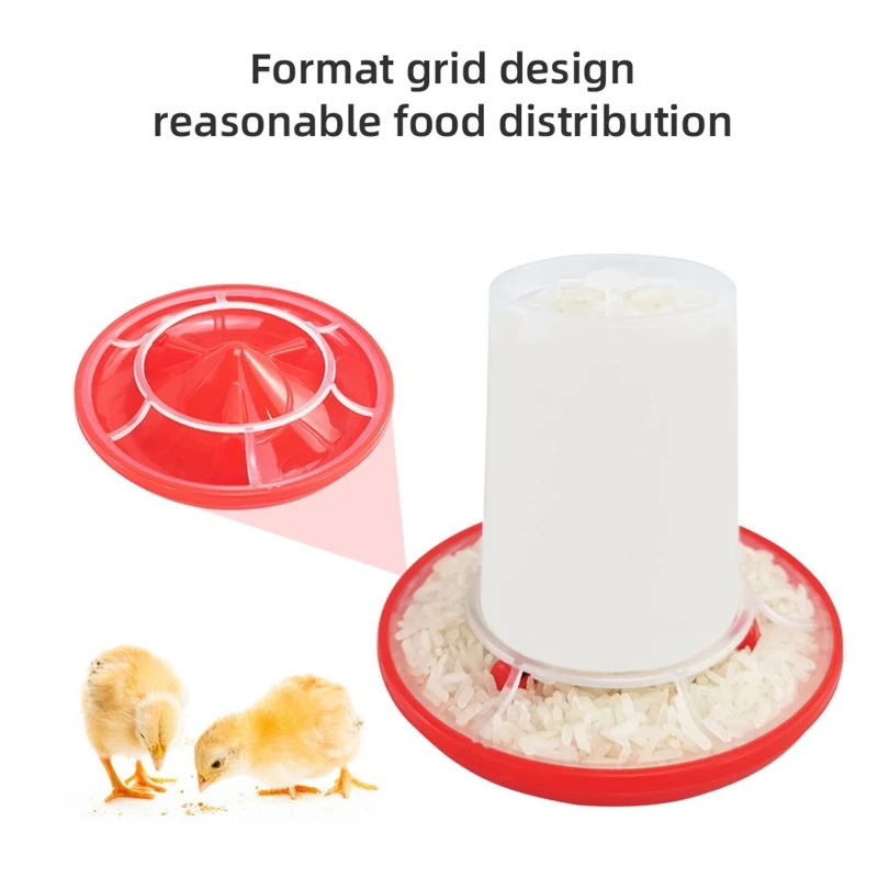 Dispenser For Birds Poultry
