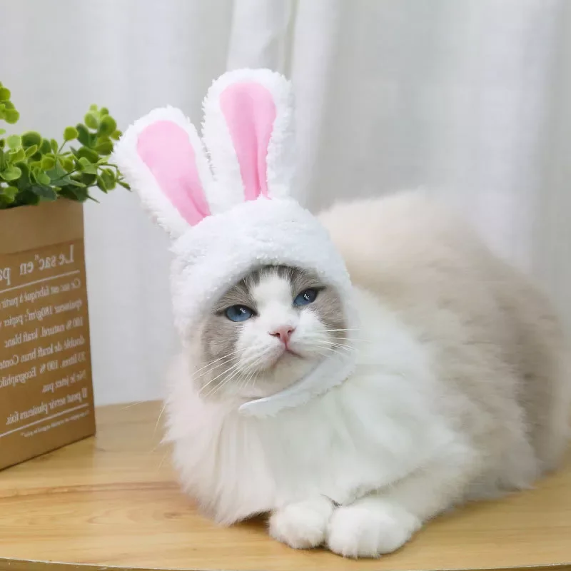 

Funny Pet Rabbit Ears Headdress Cat Bunny Teddy Headgear Pets Hat Party Costume Cosplay Clothes New Year Props Headwear