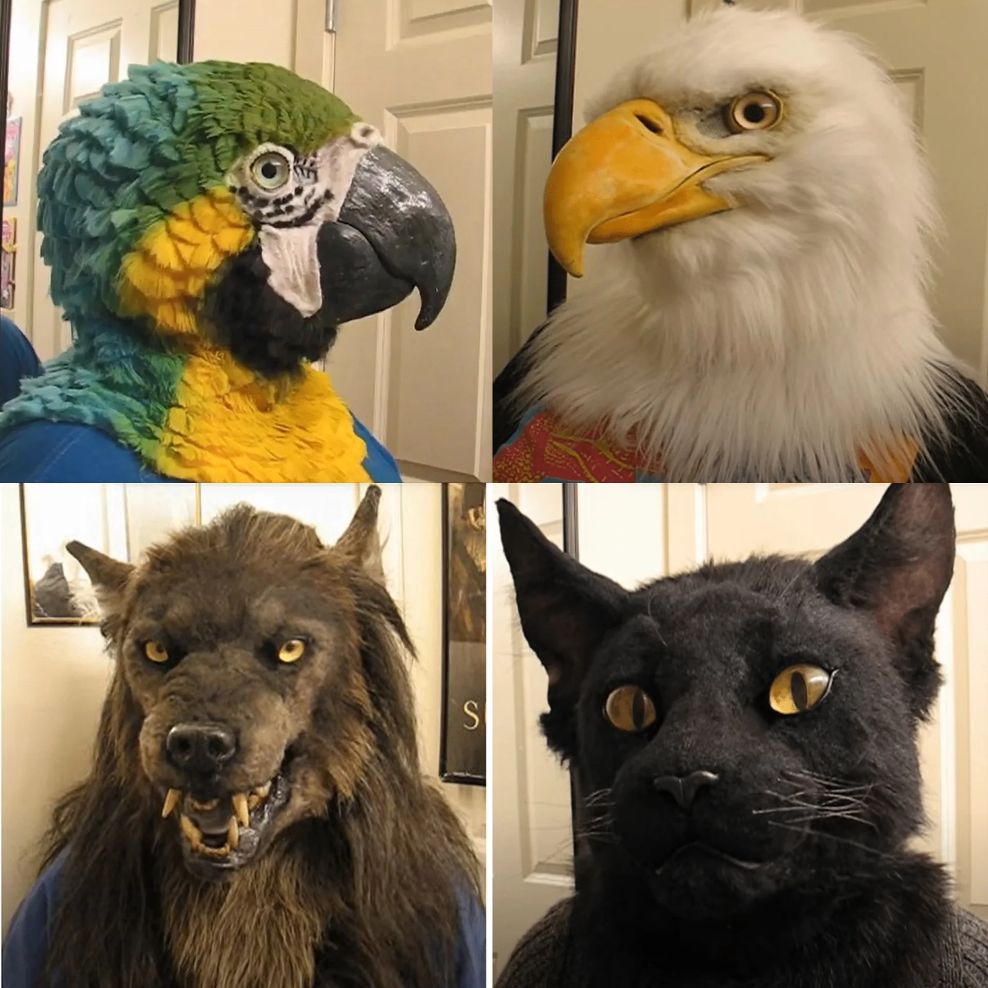 

Black Cat Eagle Animal Mask Halloween Werewolf Parrot Head Suit Dance Prop