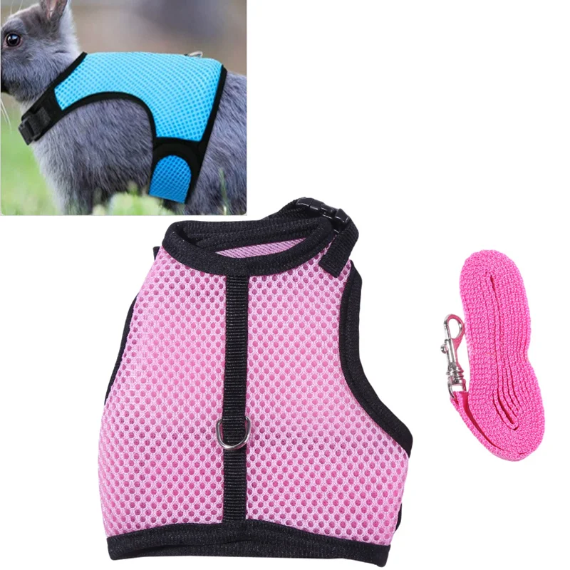 

Новинка, набор аксессуаров для домашних животных, милая деталь, поводки для прогулок на открытом воздухе