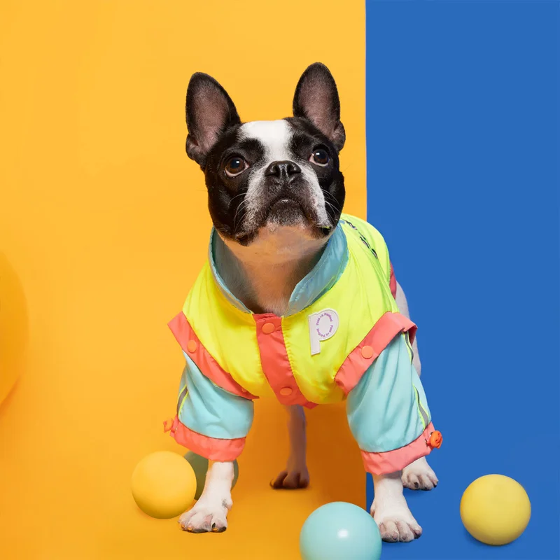 

[Flash Deal]Blobfish Detachable Pet Jacket[US Stock]