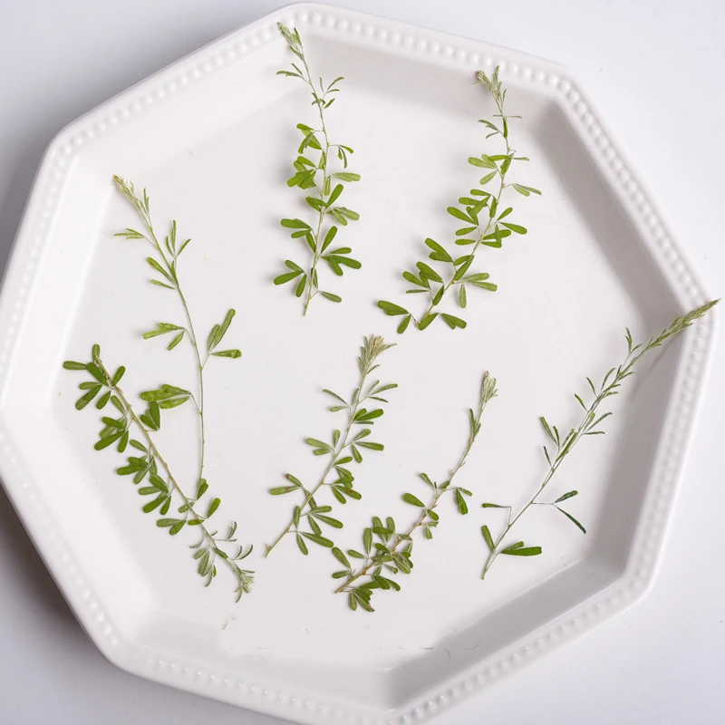 

Latest Green Shamrock Three Leaf Resin Cell Phone Case For Aroma Candle Decoration free shipment 1 lot/120pcs