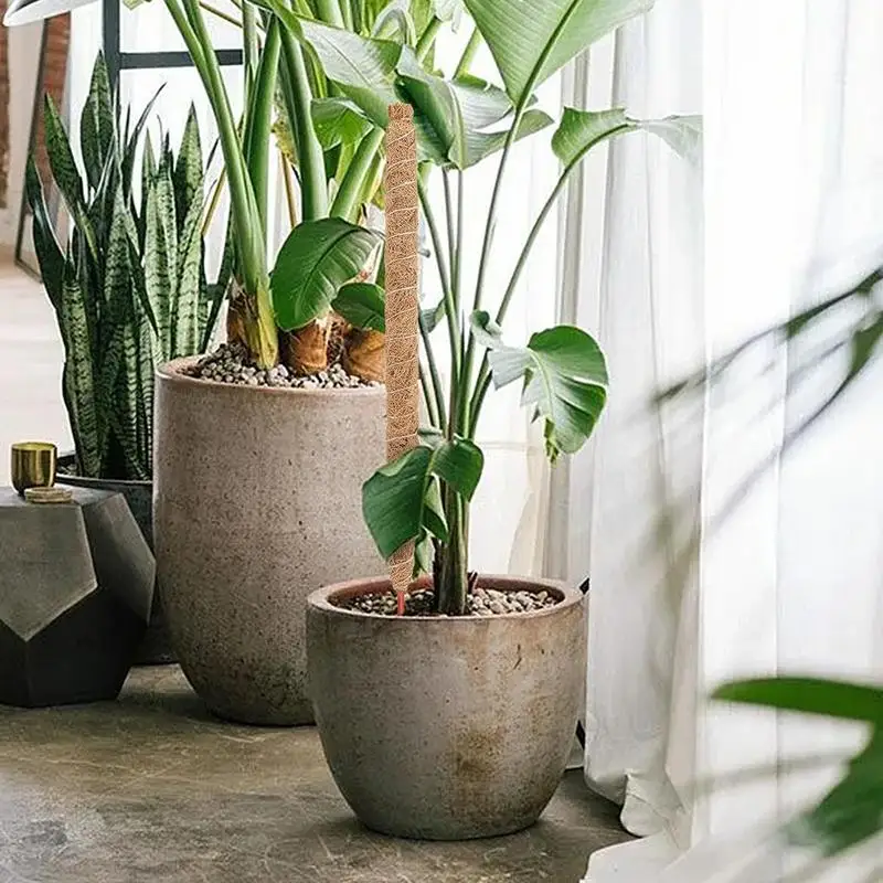 

Coconut Poles Plant Cages Plants Climber Direction Growing Support Vines Stick Reusable Garden Decoration Plant Extensions