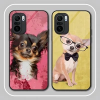 chihuahua dog phone case tempered glass for xiaomi 12pro 11 t x 10s 10i 10t ultra 8 9 9t se pro note 10pro poco f3 m3 m4pro