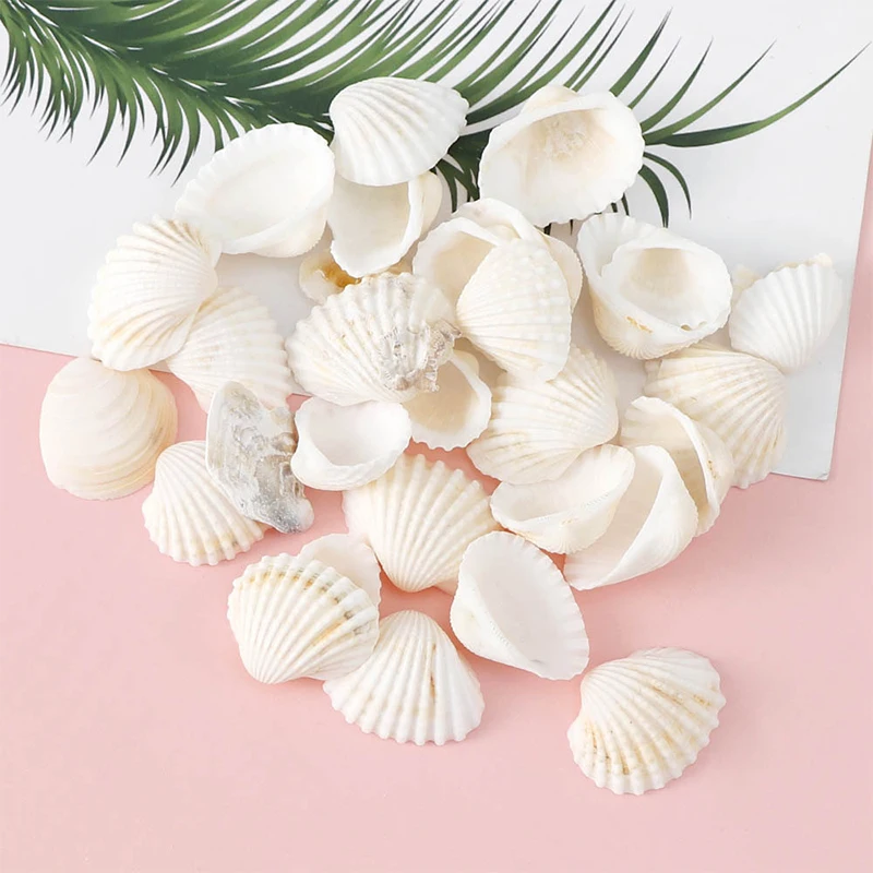 

Ракушки в коробке, детская игрушка, Пляжное ремесло, искусственные поделки, домашний декор, ракушки для аквариума