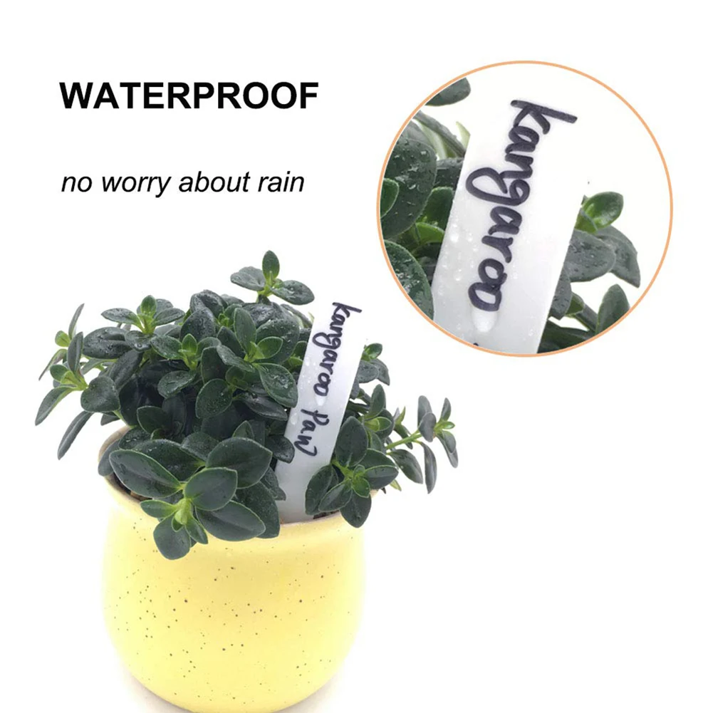 

Name Plant Label Herbs Kit Labeling Labels Marker Nursery Plant Plastic Small Supplies 100pcs 5*1cm Waterproof