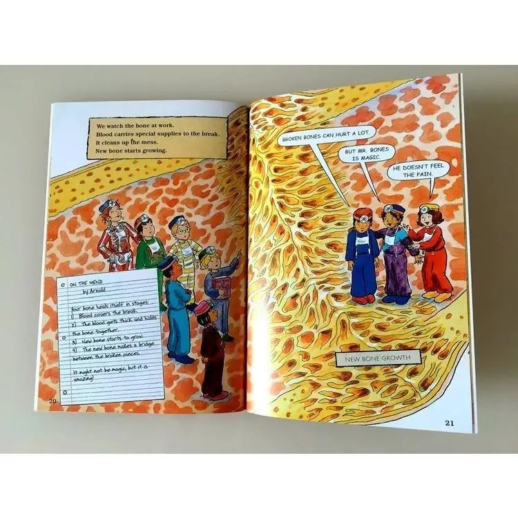 Рисунок 3 - Magicschool Bus магический школьный