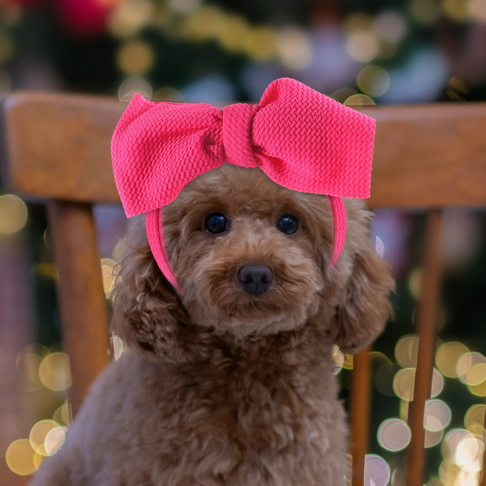 

Pet Bow Headband Costume Headdress Dog Headwear Bands Hair Ties Party Headbands Cosplay Cat
