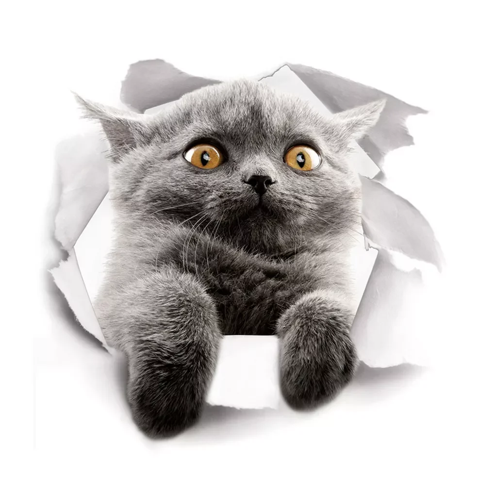 

Lovely Pet Self-adhesive Wallpaper Children Living Room Bathroom Toilet Decals Mural Tattoo