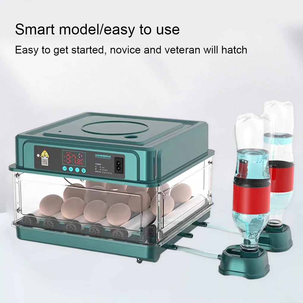 

Инкубатор для яиц 9-15, автоматическое инкубационное оборудование для цыплят, гусиных птиц, перепелов, инкубационные инструменты, вилка EU/US/UK