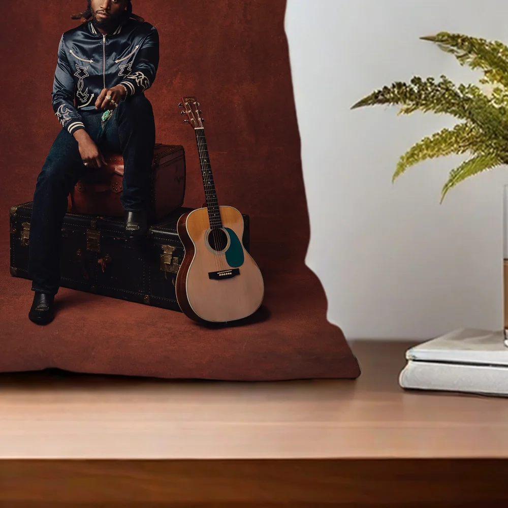 Singer S-ShaboozeyS удобная декоративная наволочка подходящая для украшения дома