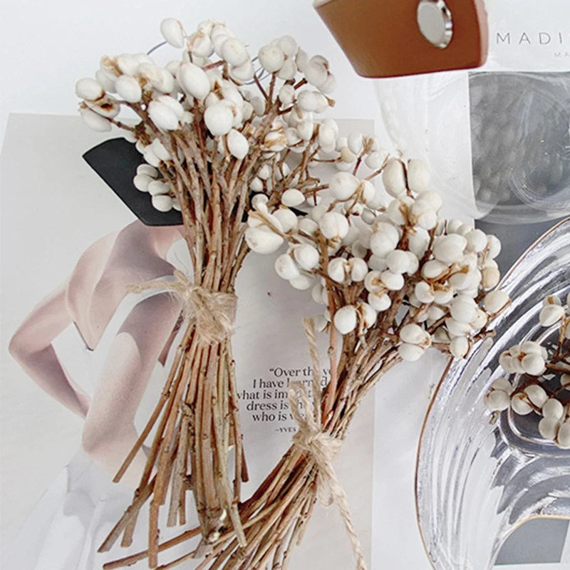 

30g/pack DIY Decor Dry Flower Live Forever Small Ginkgo Home Decor Vase Dried Mushroom Grass Bouquet Arrangement Party Supplies