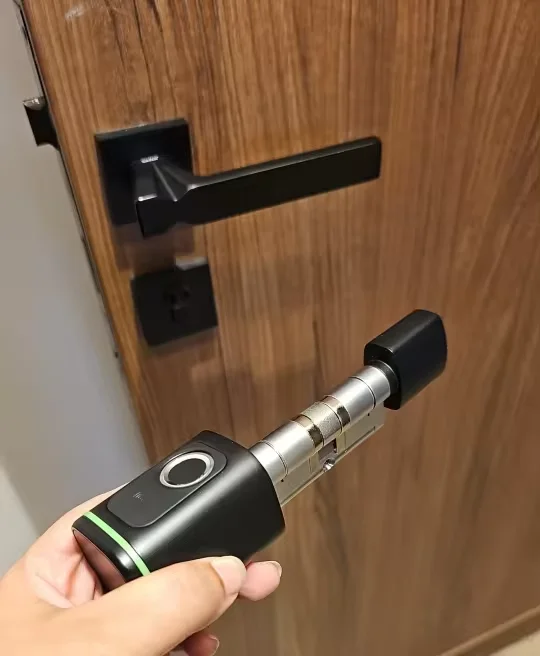 Фото Умный цилиндрический замок TTlock, биометрическая карта с отпечатками пальцев, евроцилиндровый замок, электронный умный дверной замок №4
