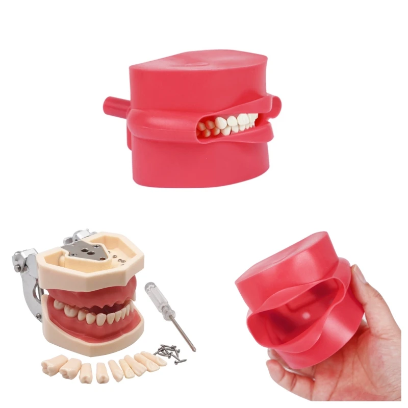 Зубная модель съемная тренировочная зубов зубной резинки и силиконовая маска