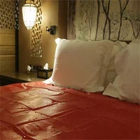 Bedding Sheet Waterproof Hypoallergenic Mattress Sexy Adult Game New PVC Plastic Full Queen King Bedclothes