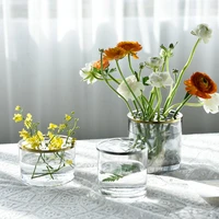 nordic decoration home transparent hydroponic dried flowers vase glasses plant vases decorator tumblers living room terrarium