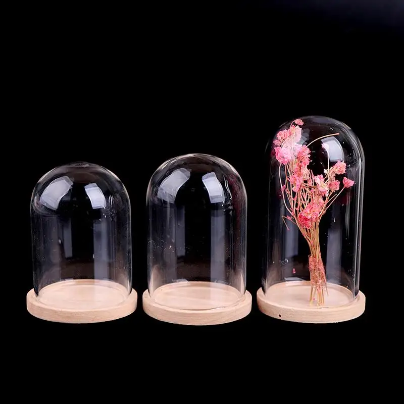 

Glass Flower Display Cloche Bell Jar Dome Immortal Preservation + Wooden Base Everlasting Flower Glass Cover Home Decor Vases