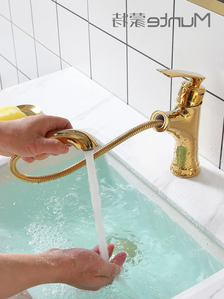

Hot Golden and Cold Pull-out Shampoo Dual-Use Washbasin Basin Washstand Faucet Retractable