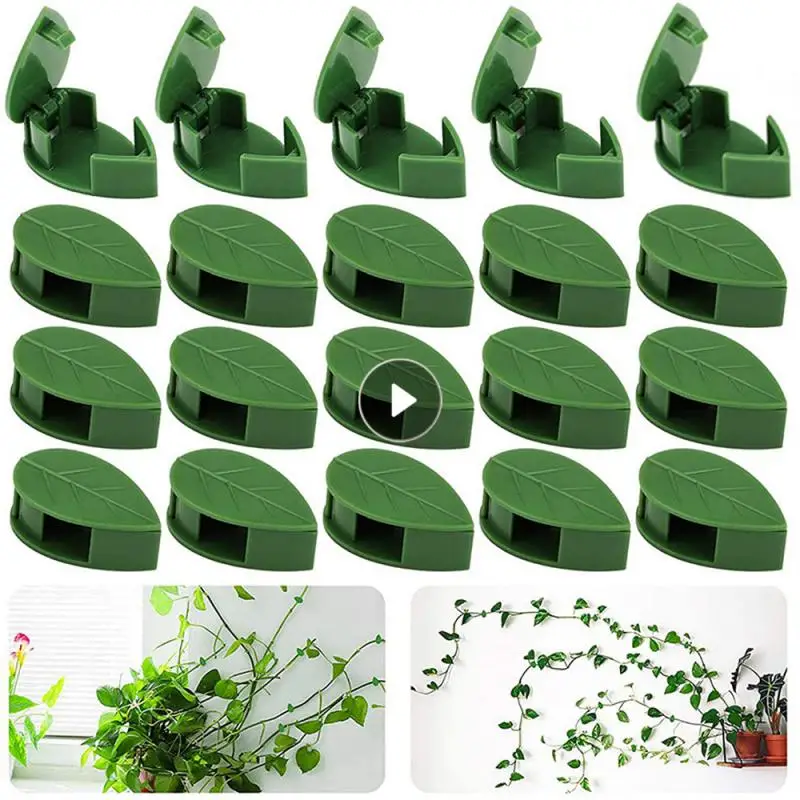 

10-30pcs Invisible Vine Plant Supports Clip Plant Climbing Wall Fixture Leaf Fixed Clips Traction Holder Garden Vine Buckle Hook