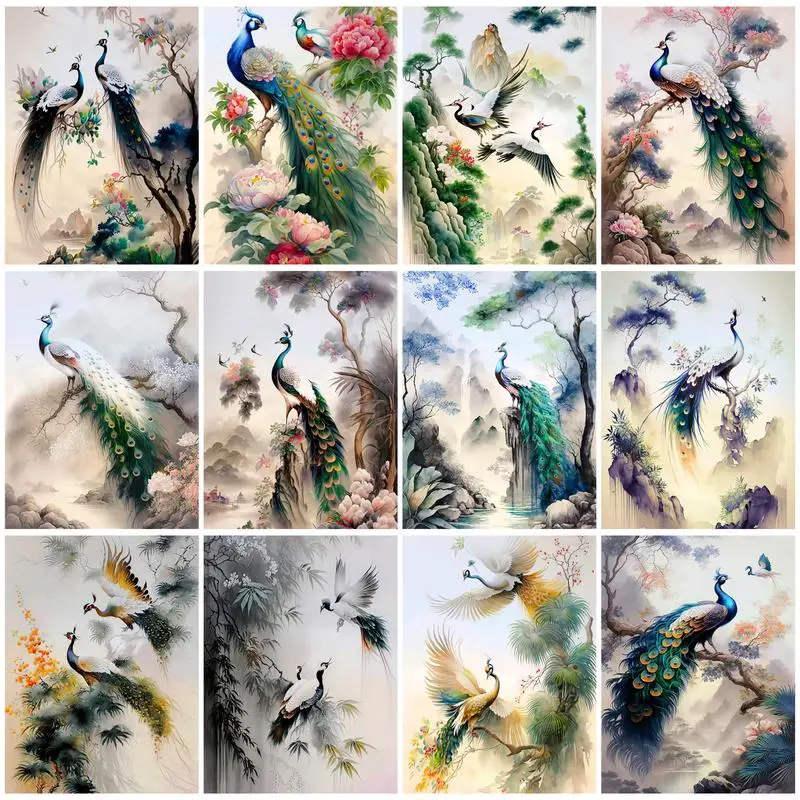 

CHENISTORY 60x75cm Paint By Numbers Peacock DIY Oil Painting By Numbers On Canvas Frameless Home Decor Draw Number