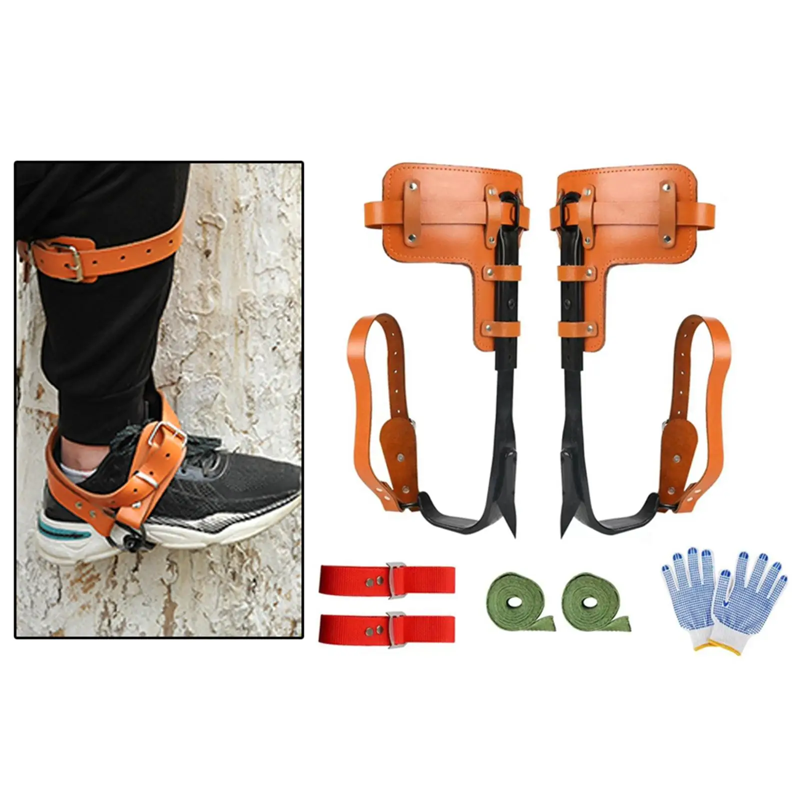 

Tree Climbing Stainless Steel Outdoor Pedal Tool for Picking Fruits Climbing Tree