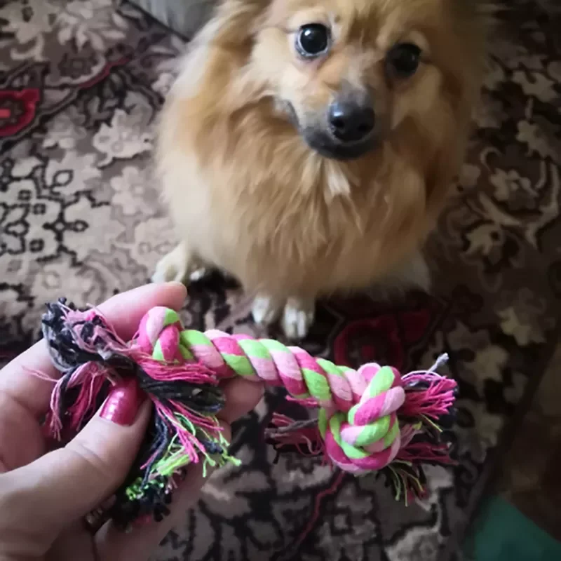 

1PC 17cm Pet Dog Puppy Cotton Chew Knot Toy Durable Braided Bone Rope Molar Toy Pets Teeth Cleaning Supplies Random Color