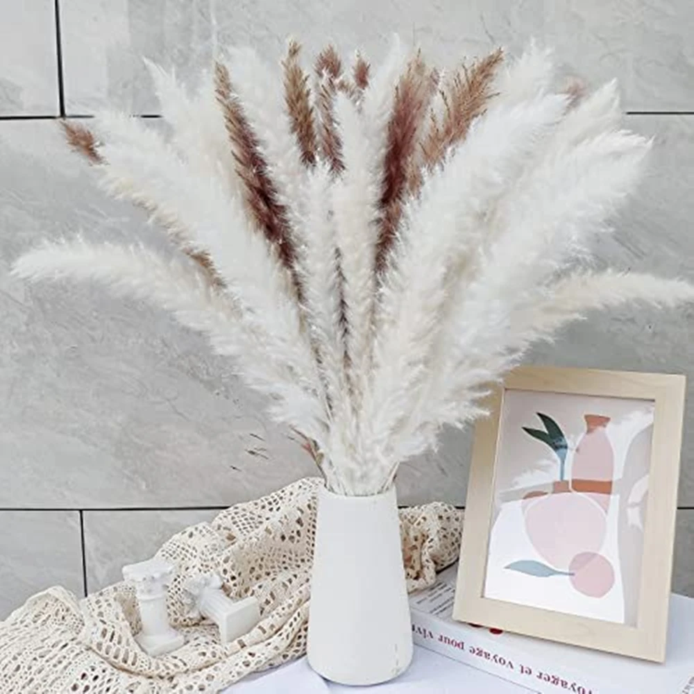 

Pampas Grass 15PCS Natural Dried Pampas Grass Decor Small Pampas Bouquet Dried Flowers Arrangement Dried Plants Home Decoration