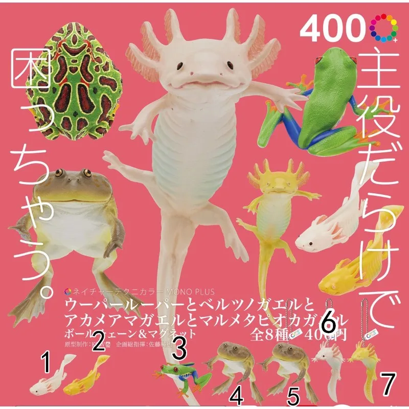 

KITAN CLUB Gashapon Amphibians Animal Gacahpon NTC Hexagonal Dinosaur Bell Horned Frog Red-eyed Tree Frog Capsule Toy