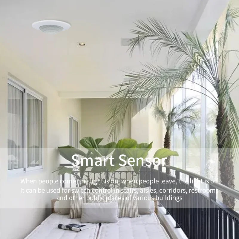 Рисунок 3 - Индукционный переключатель человеческого тела