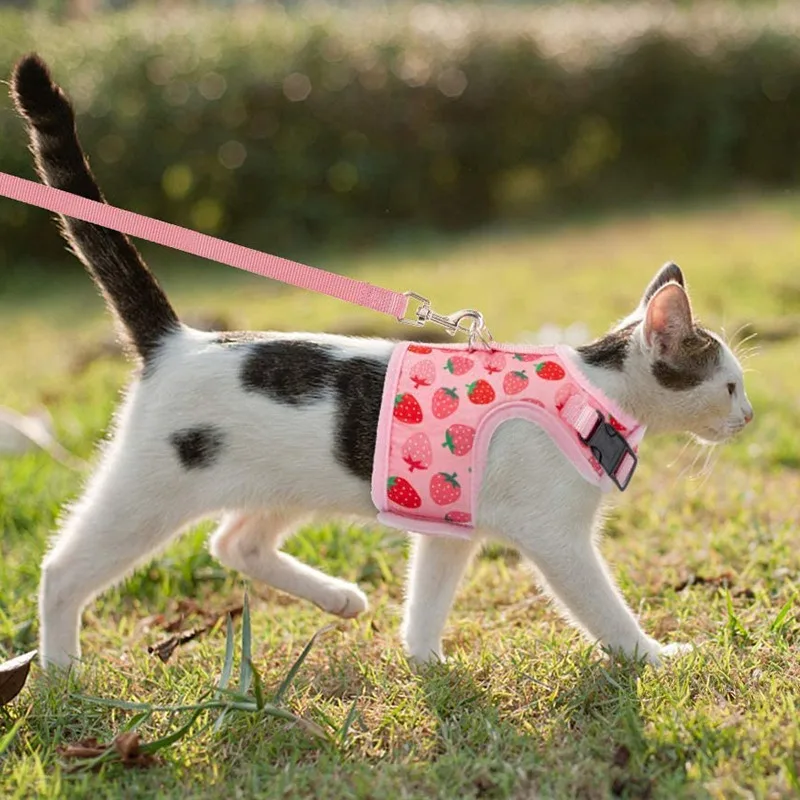 

Pet Harness and Leash Set Breathable Cat Harness Collars Escape Proof Kitten Puppy Small Dogs Chest Vest No Pull Chihuahua