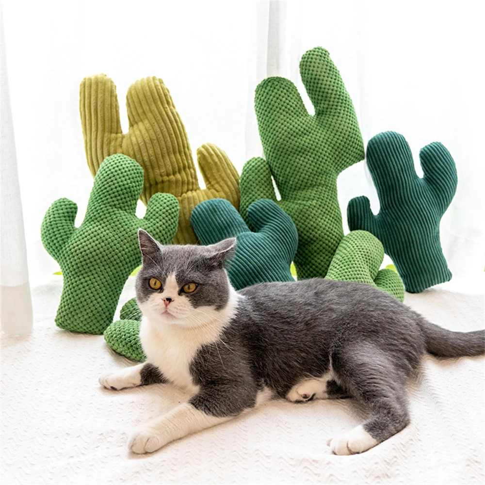 

Home Pet Supplies Cat Products Bite-resistant Cactus Molars Cleaning Teeth Cat Mint Toy Pet Supplies Interactive Toys Cat Toys
