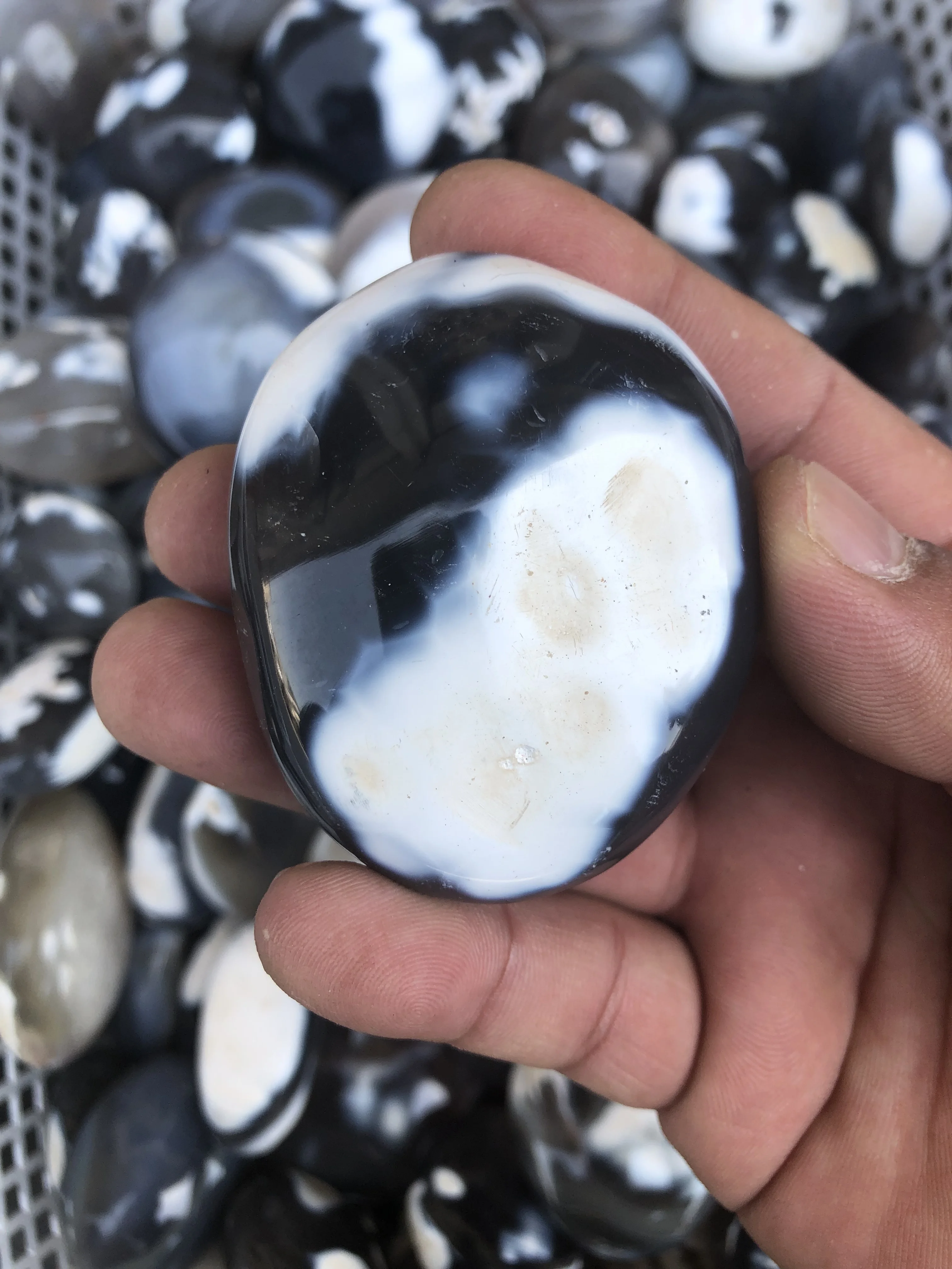 1Kg Nature Stone Nature Crystal White Agate Is Also Known As Orca Agate Named For Its Appearance Like A Killer Whale