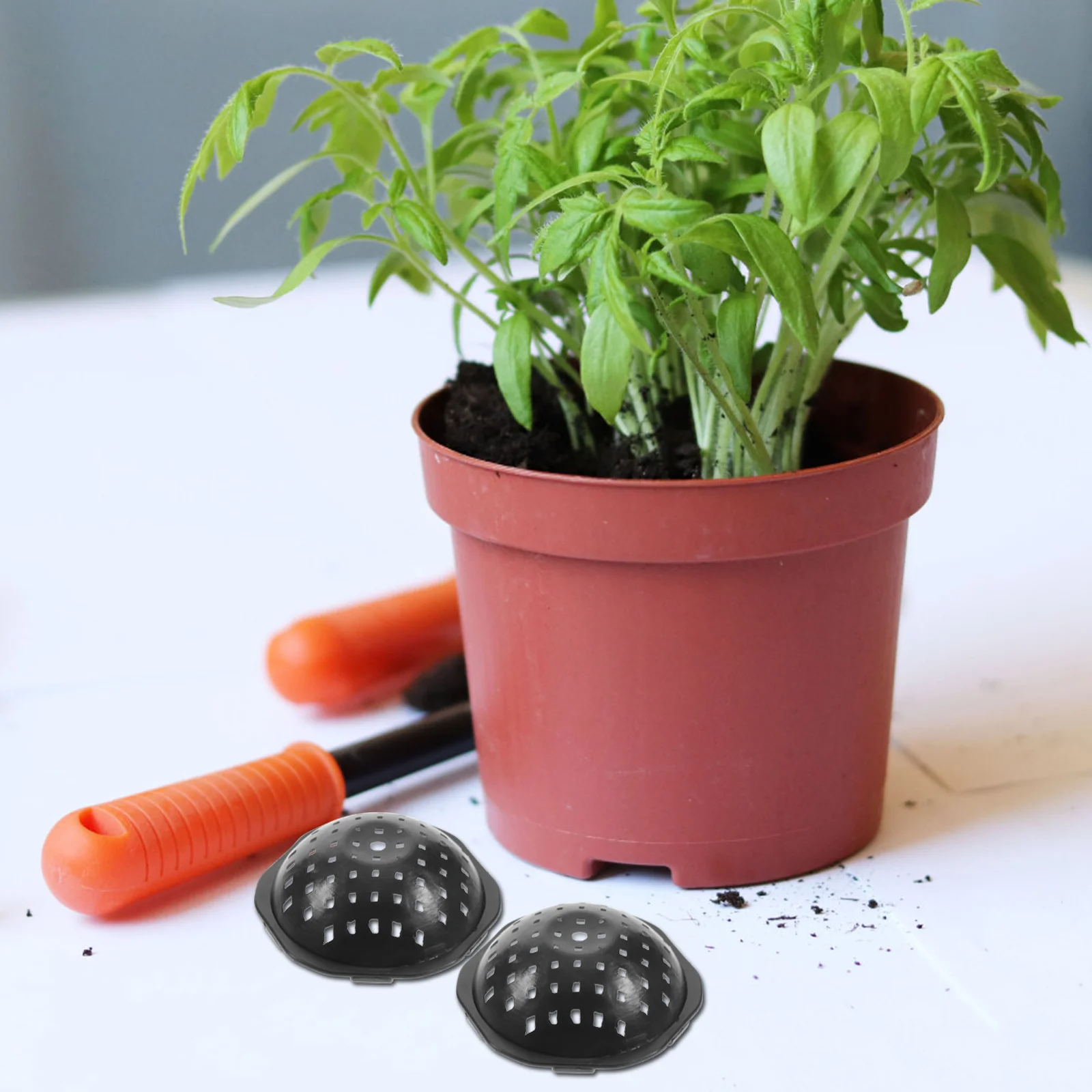 50 шт. проставка для цветочного горшка сетчатая подушка с отверстием бонсай