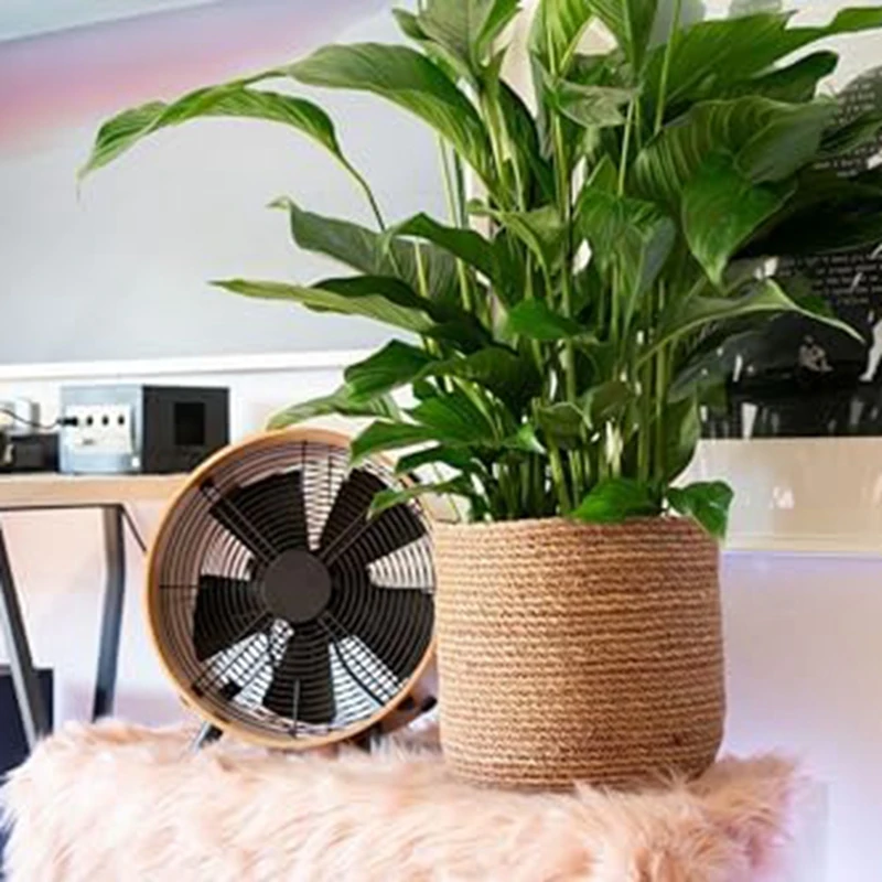 Цветочный горшок из морских водорослей - Плетеный для растений Декоративная